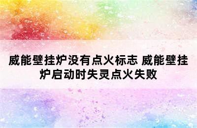 威能壁挂炉没有点火标志 威能壁挂炉启动时失灵点火失败